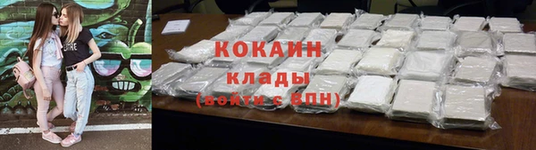 хмурый Гусев