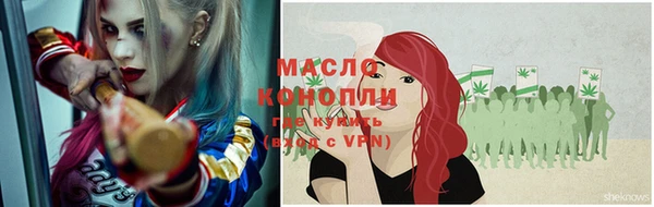 индика Гусиноозёрск