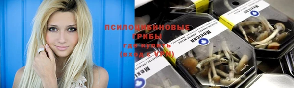 хмурый Гусев