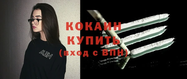 индика Гусиноозёрск