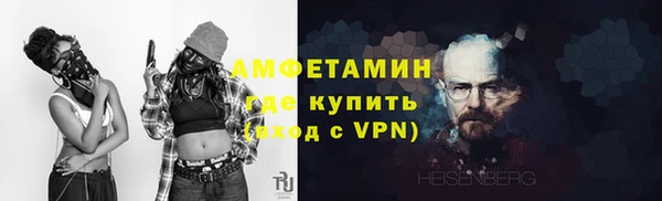 индика Гусиноозёрск