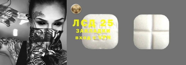 хмурый Гусев