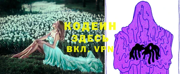 хмурый Гусев