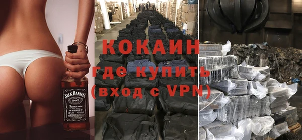 индика Гусиноозёрск