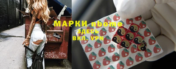 индика Гусиноозёрск