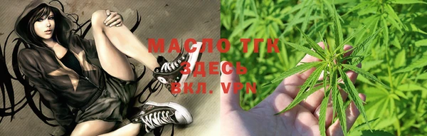 индика Гусиноозёрск