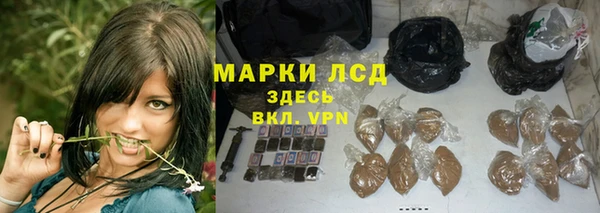 индика Гусиноозёрск