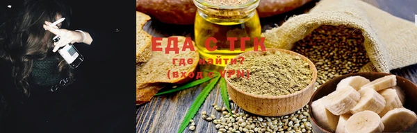 индика Гусиноозёрск