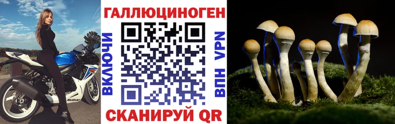 Галлюциногенные грибы MAGIC MUSHROOMS  Купить  Касли 